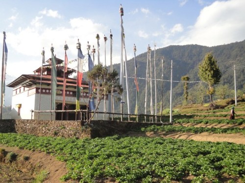 Langtang Helambu Trek 9 Days – A Scenic Short Trek Near Kathmandu