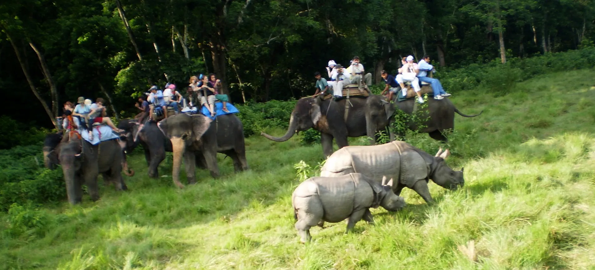 2 Night 3 days Chitwan National Park Jungle Safari Tour